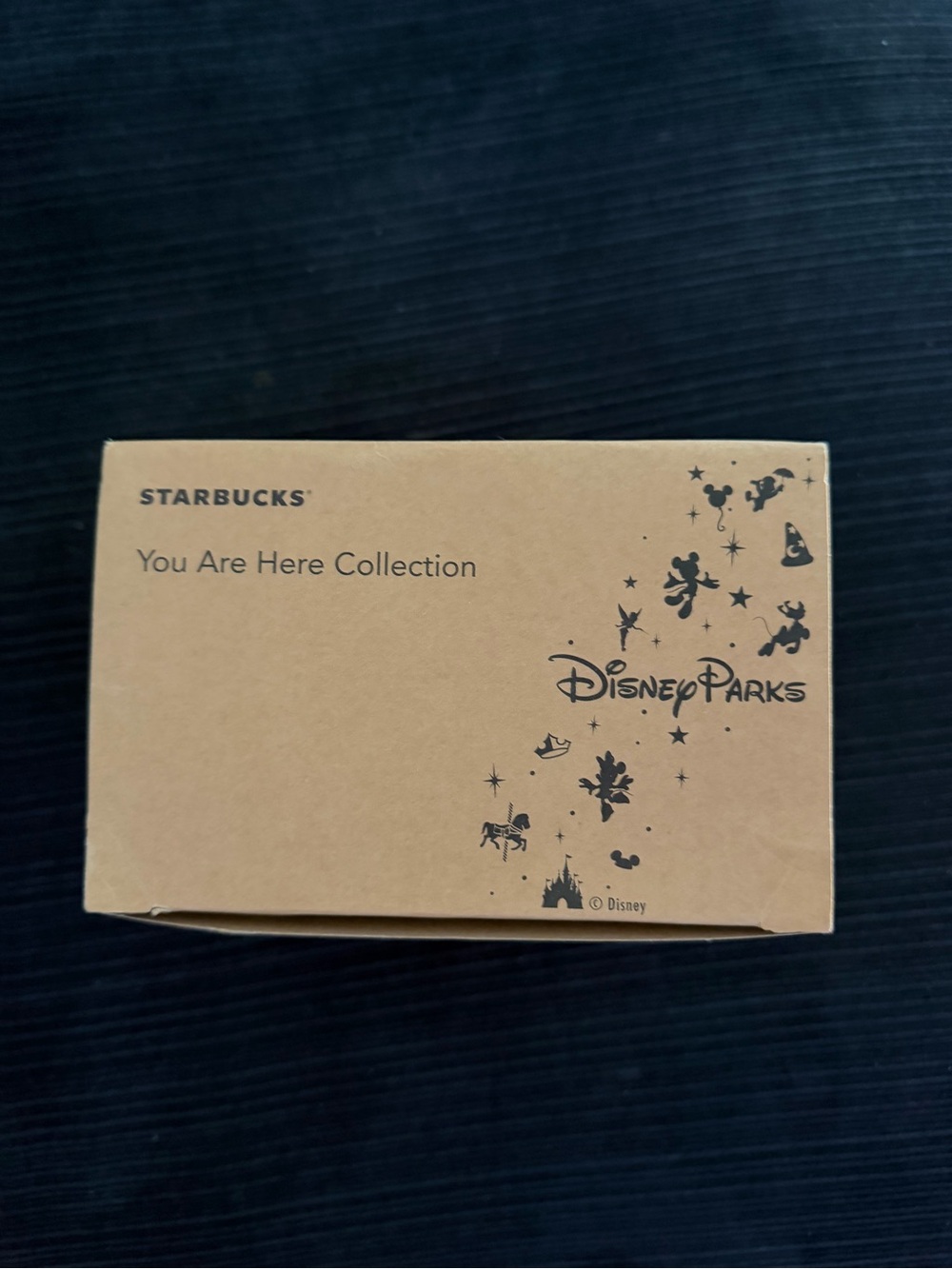 New Starbuck Walt Disney World YOU ARE HERE Series Coffee Mug